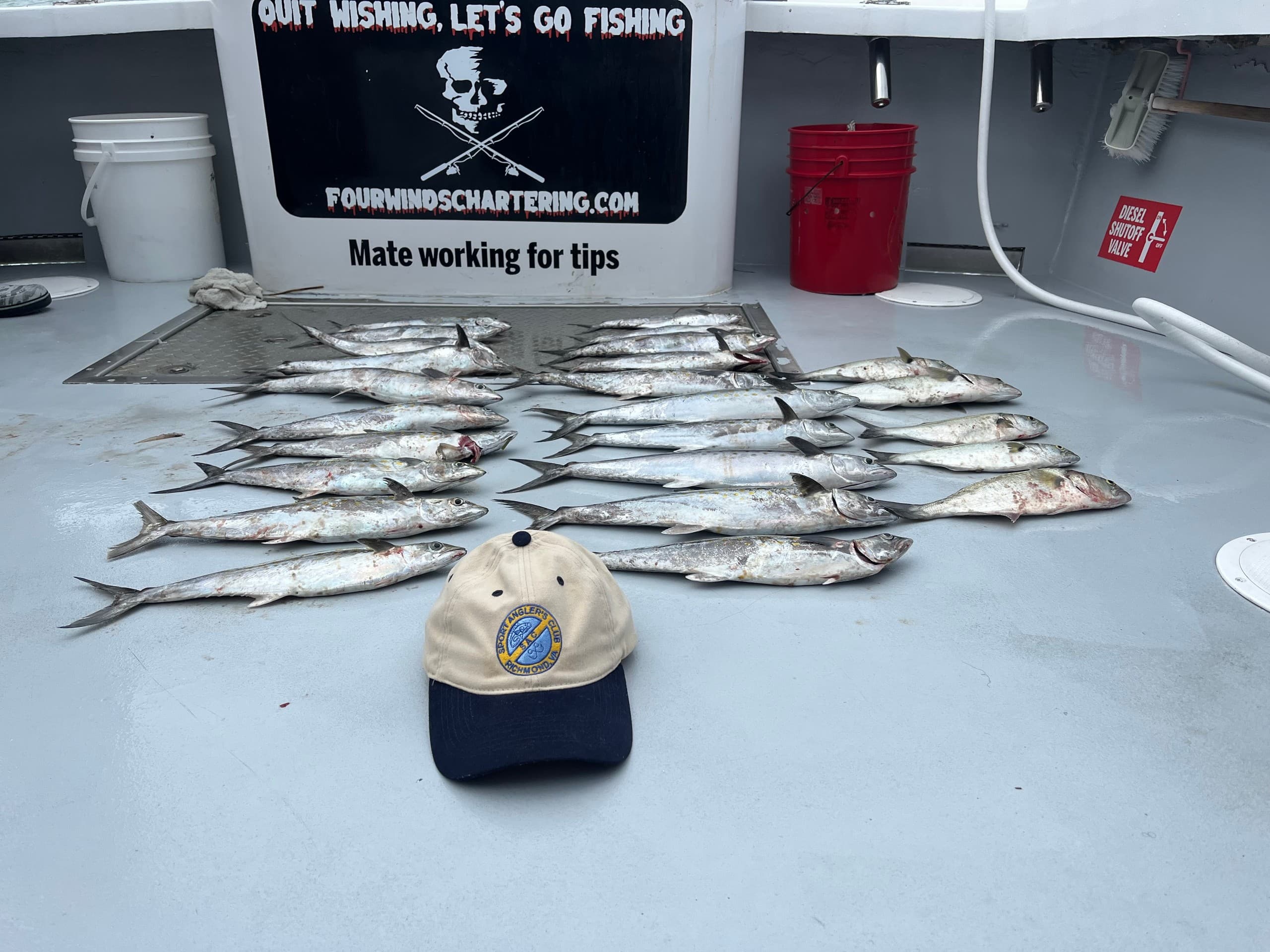 Chesapeake Bay Full Day Fishing Charter from Hampton: Stripers, Bluefish & Cobia photo 4