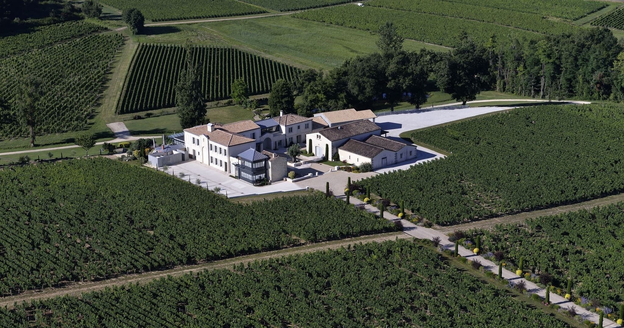 Wine Tasting Journey at Château La Rose Perrière in Saint-Denis-de-Pile