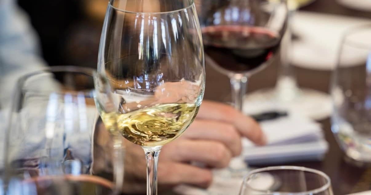 Wine Tasting & Farm Experience at Cartaxo Winery