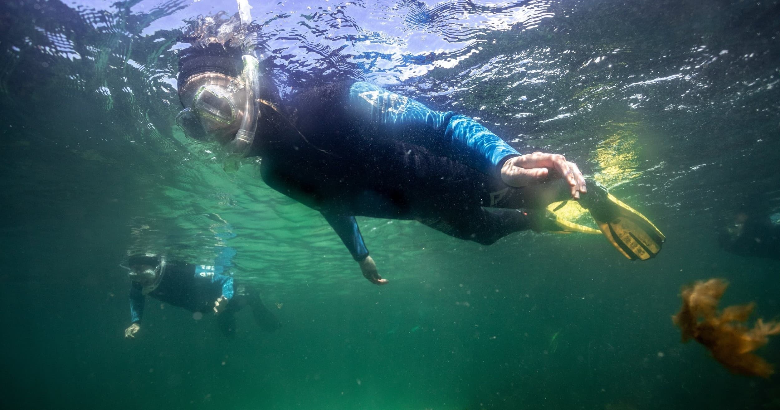 Snorkeler exploring green Scottish waters with fins and mask