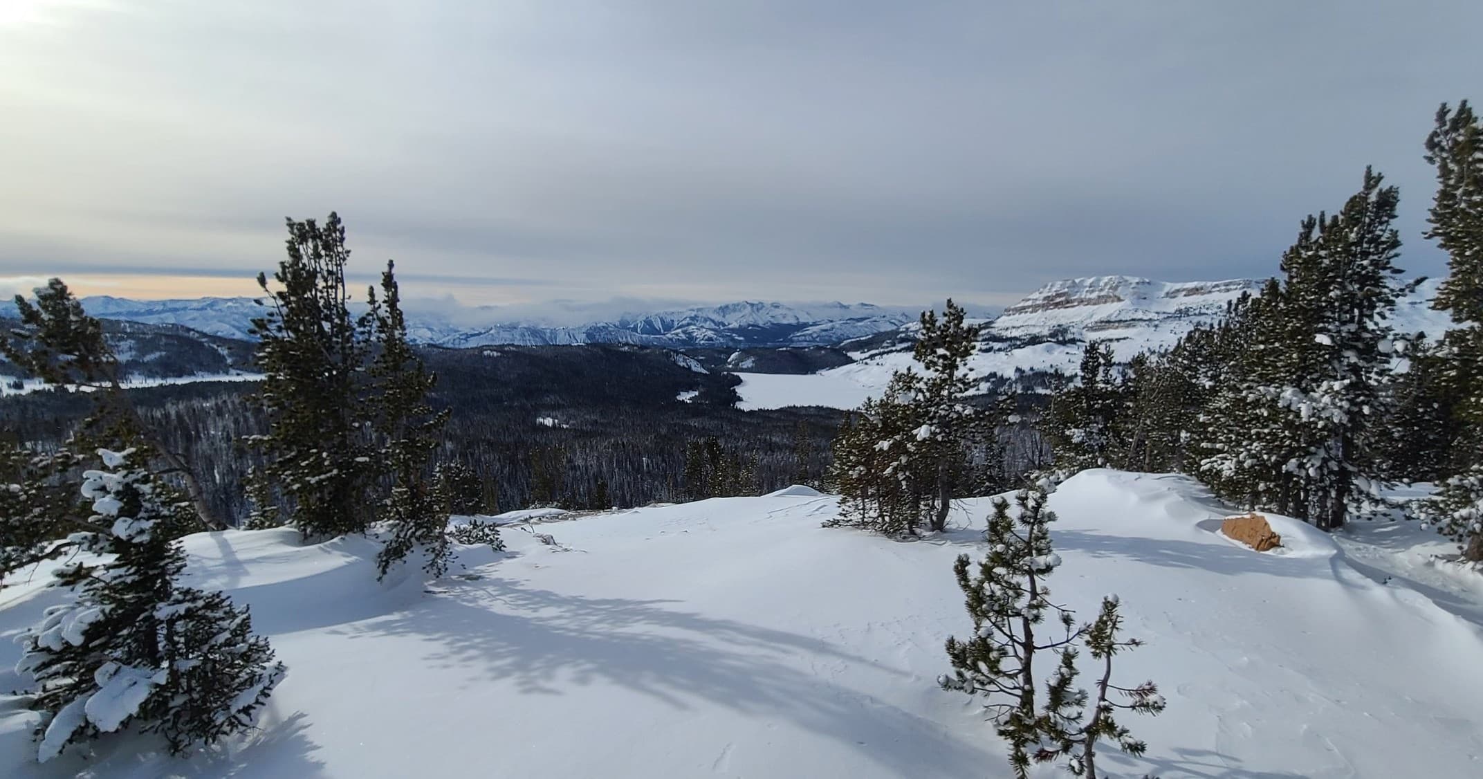 Snowy alpine overlook with pines and distant Beartooth mountain views
