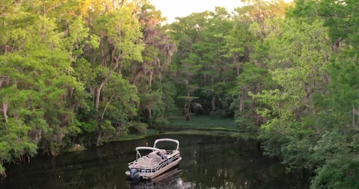 Pontoon boat cruising a cypress-lined river at sunset