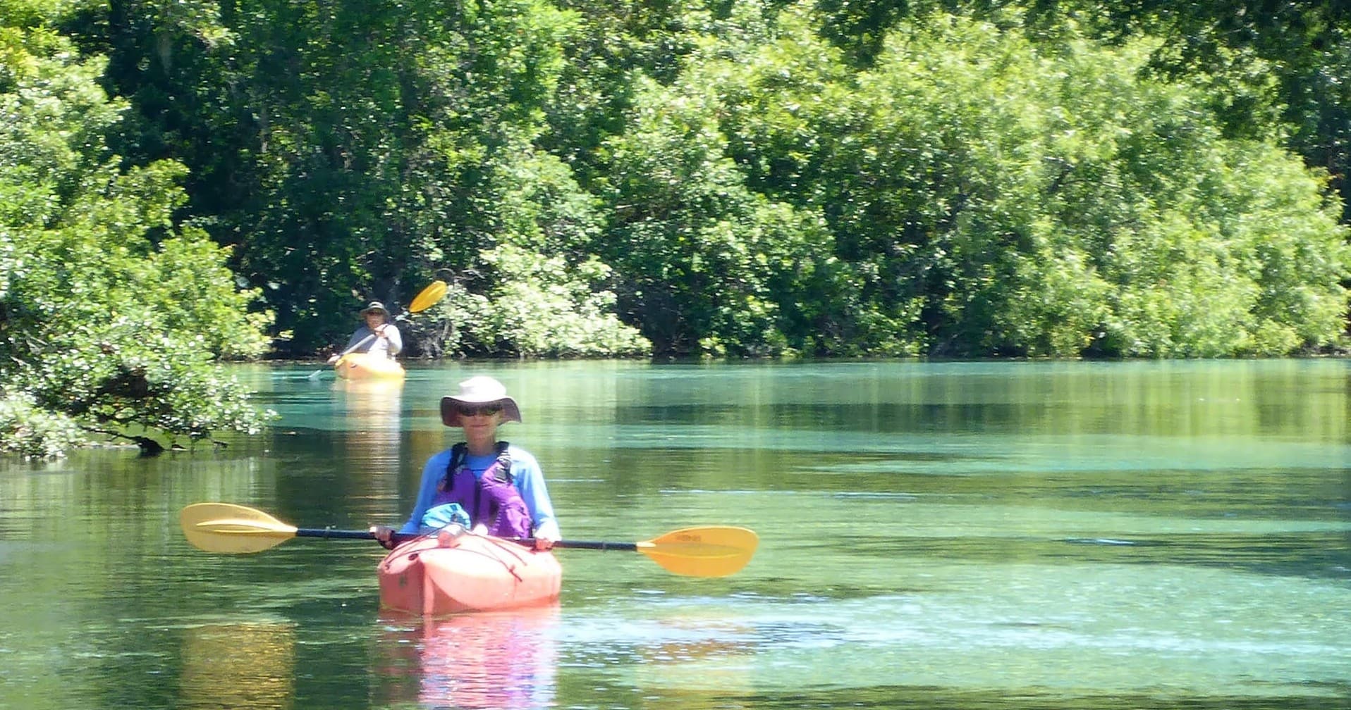 4-Hour Paddle from CR 419 Bridge: Wildlife & Blackwater in Chuluota, FL