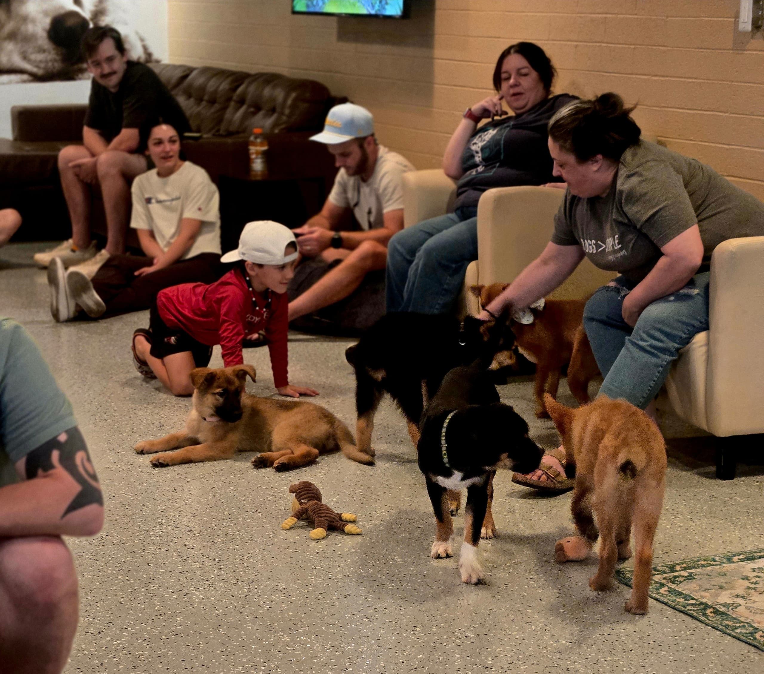 Phoenix Dog Lounge Experience: Sip Coffee and Meet Adoptable Rescue Dogs
