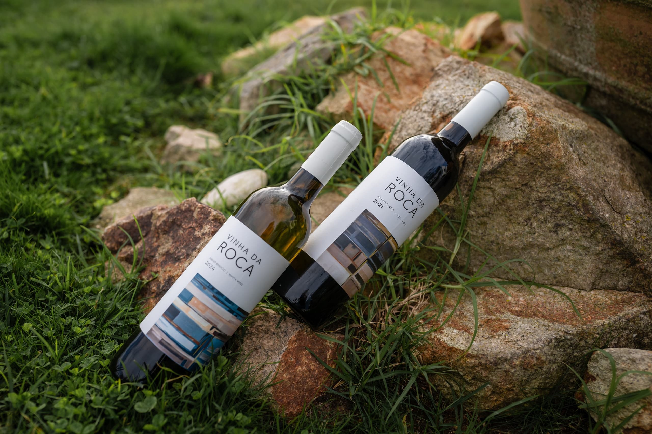 Coastal Terroir of Colares: A One-Hour Vineyard Tasting Near Cabo da Roca photo 1