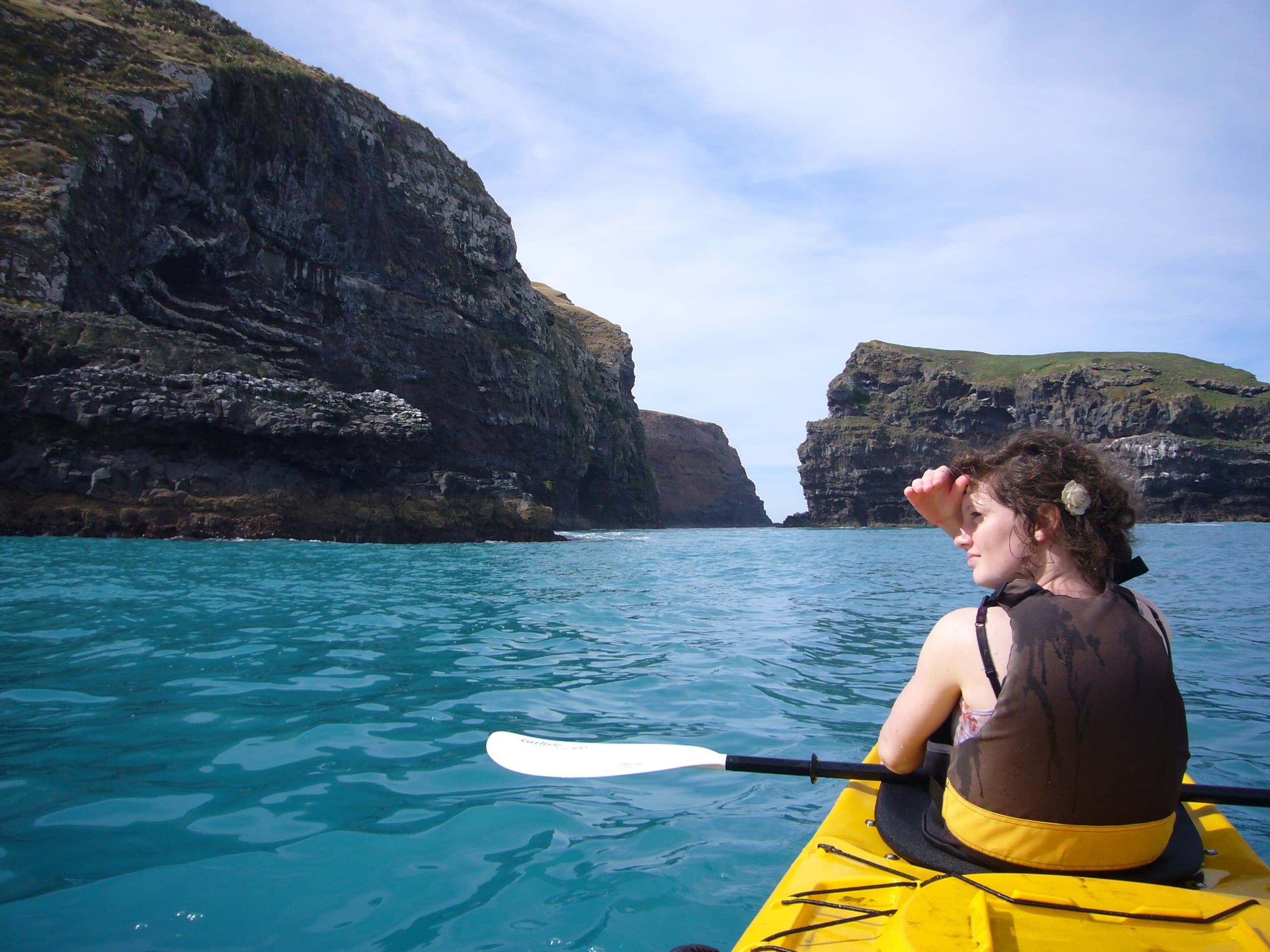 Explore the Wild Side Conservation on a 4WD Nature Safari near Akaroa