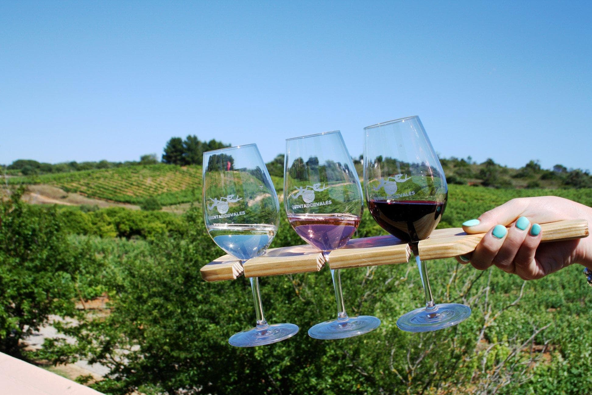 Wine Tasting & Farm Experience at Algarve Gold