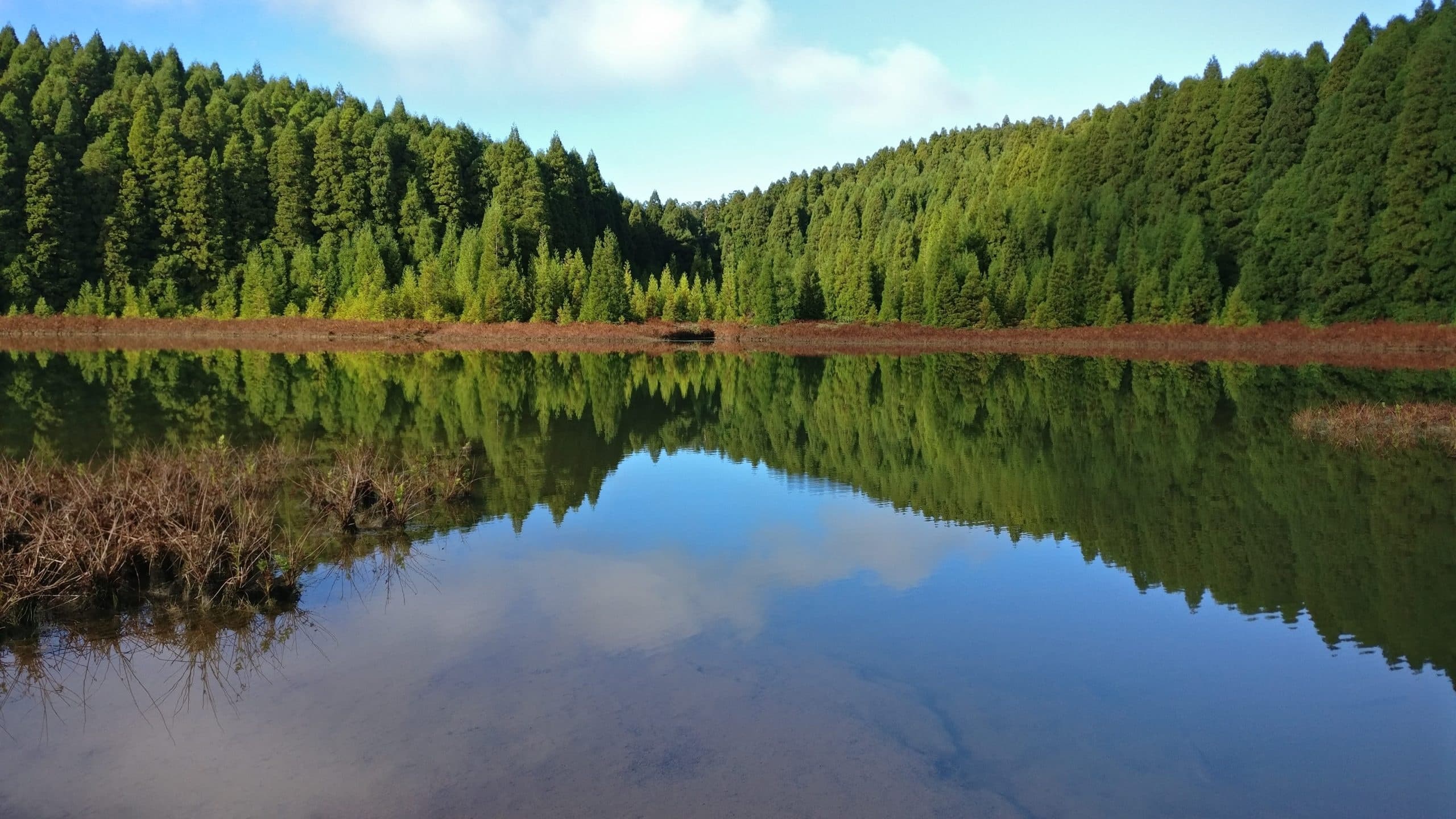 Calm forest lake reflecting trees in Azores for nature walks