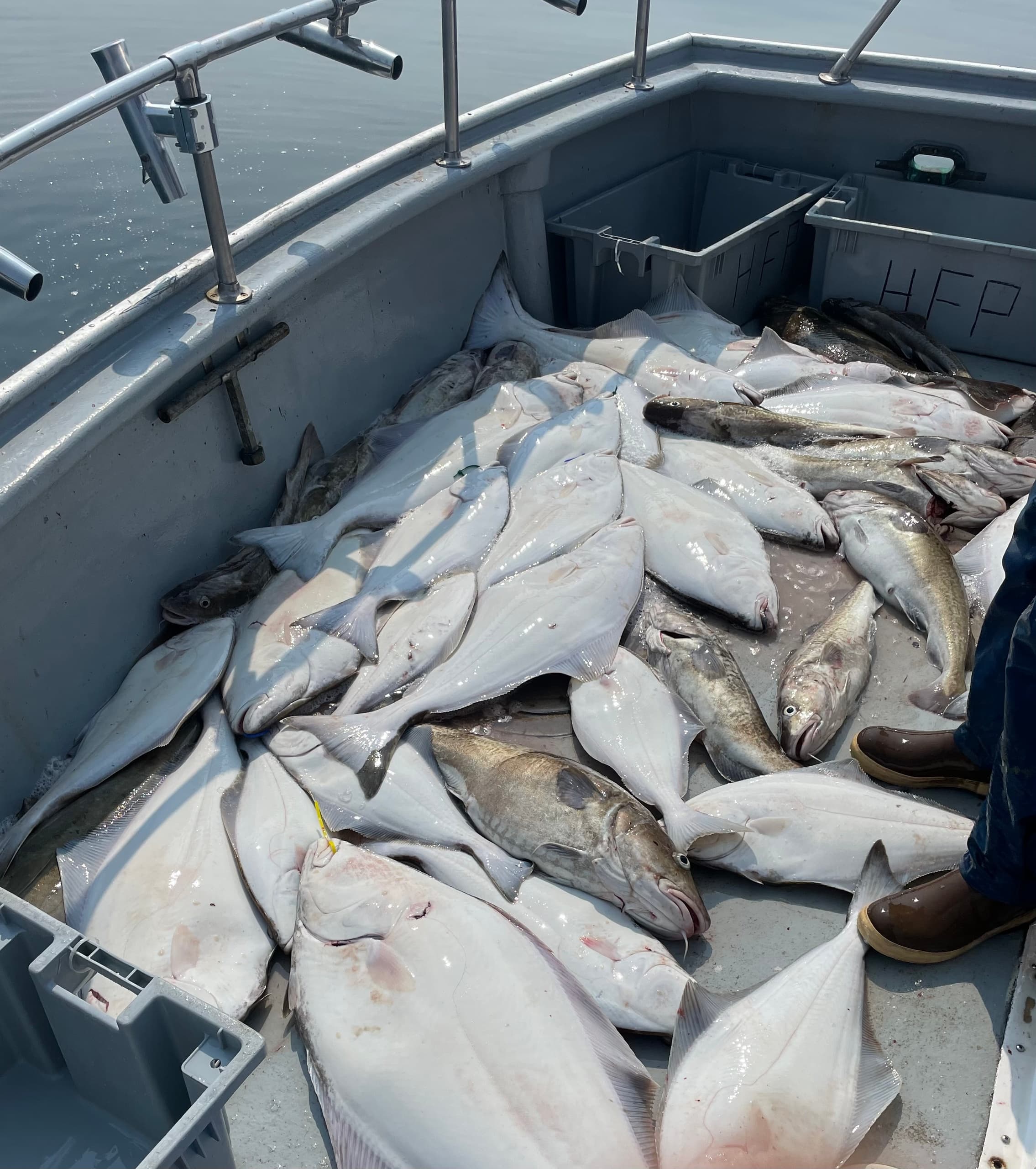 Alaska Fish’n’Adventure with O'Fish'ial Charters in Homer
