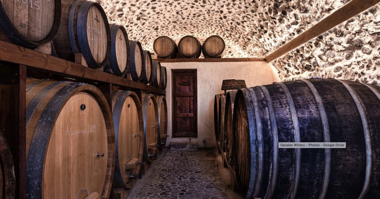 Wine barrels aging in rustic underground cellar, tasting tour