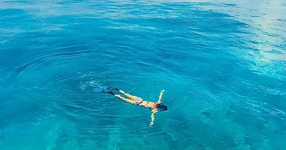 Private Snorkeling Adventures in Key West, Florida