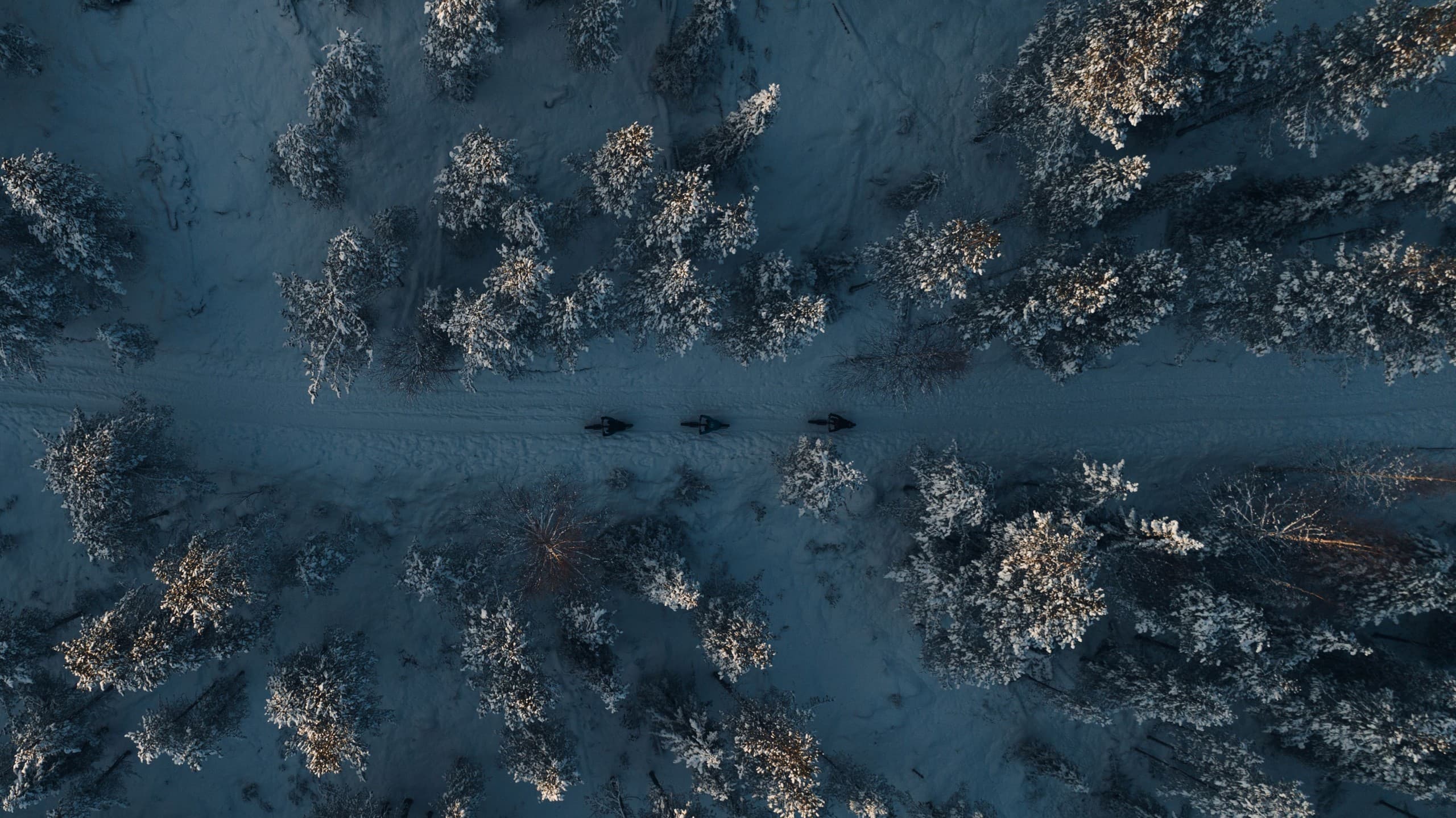 Under Arctic Skies: e-Fatbike Northern Lights Ride in Sirkka, Finland photo 4