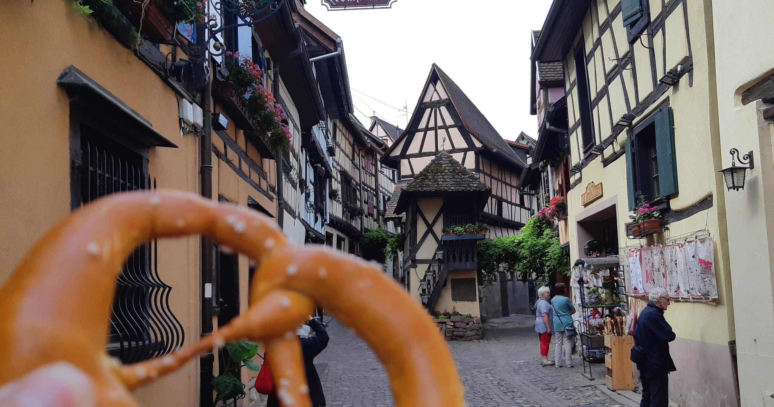 Half-Day Wine & Village Safari with Alsace Safari in Colmar
