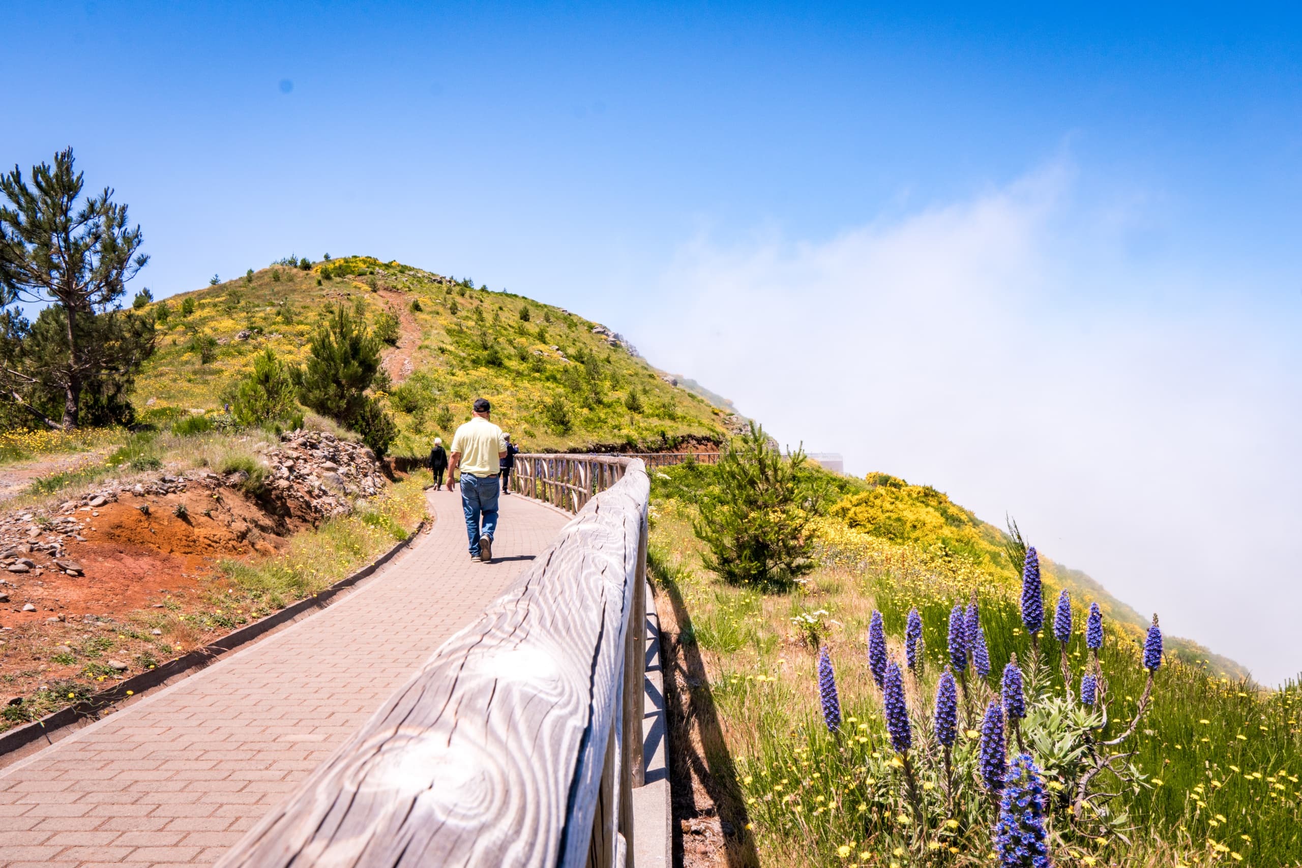 Explore Madeira’s East: Epic 4x4 Adventure from Pico Do Areiro to Santana