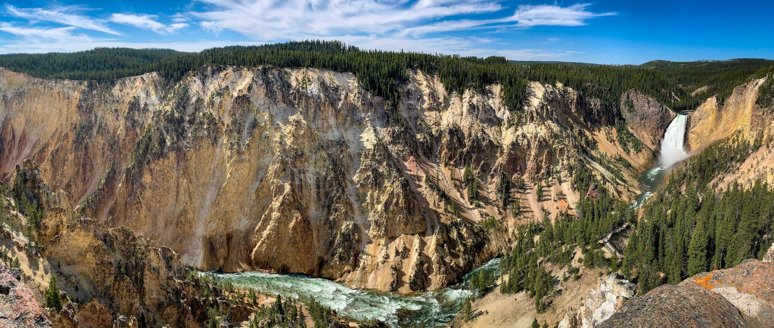 Yellowstone Highlights Tour with Teton Wilderness Tours from Jackson