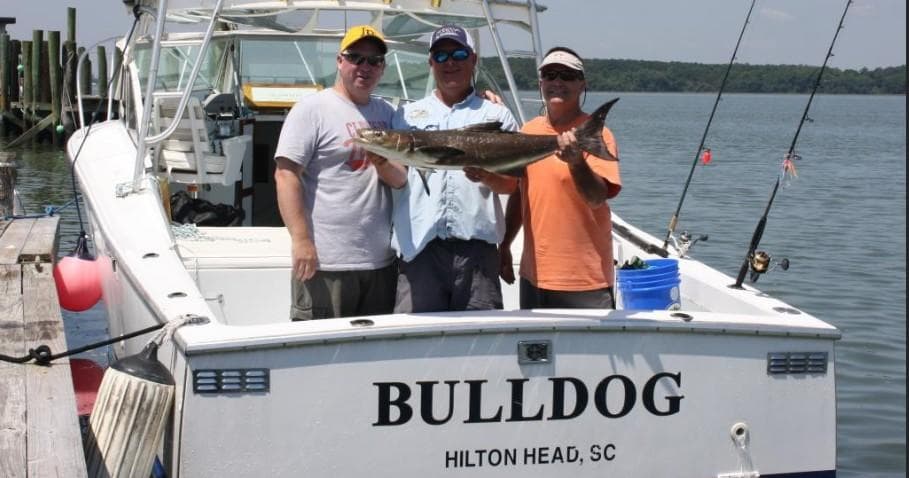 Offshore Fishing Adventures with Bulldog Fishing Charters
