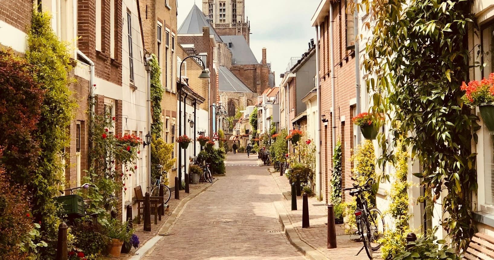 Discover the Netherlands with Booktaxi24’s Private City Tour
