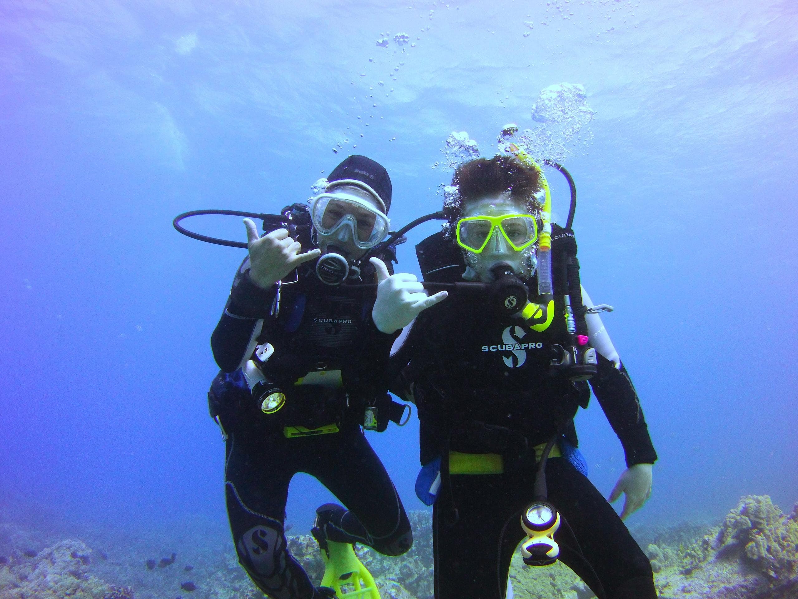 Discover Scuba Dive and Snorkel in Waimea, Hawaii