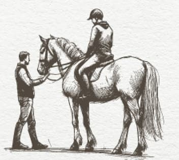 Arena Horseback Riding Lessons at Ankord Farms, Los Angeles