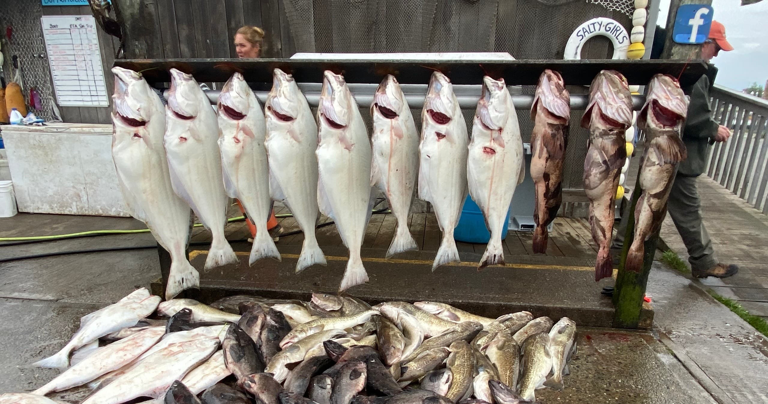 Multi-Species Fishing Charter with Tightline Charters LLC in Homer
