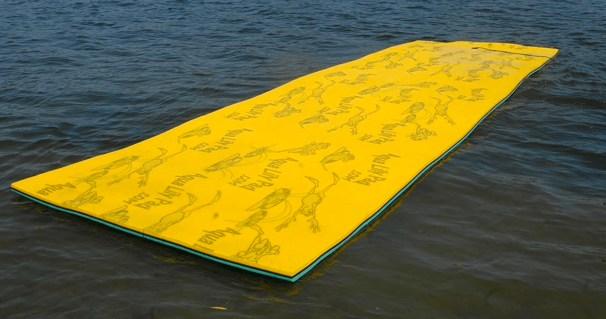 Water Activities at Algonquin Outfitters - Huntsville