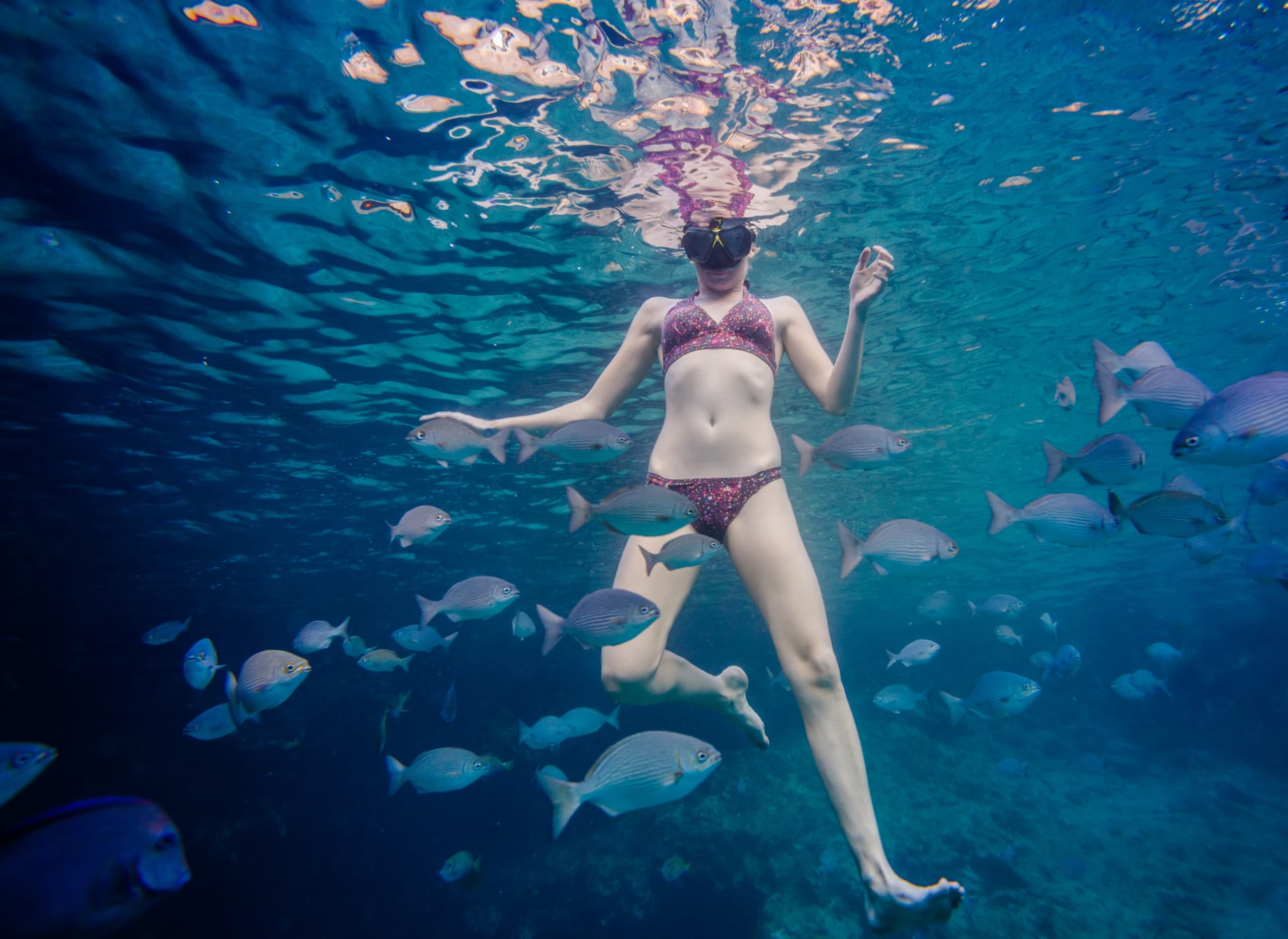 Atlantis Snorkeling Tour by AG Expeditions in Rabo de Peixe