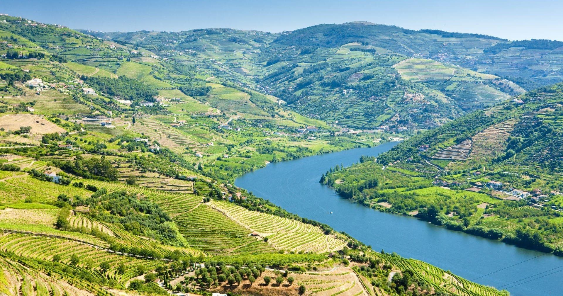Scenic river valley vineyard panorama over winding Douro River