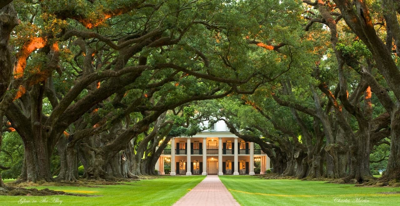 Scenic oak alley leading to historic Louisiana plantation house