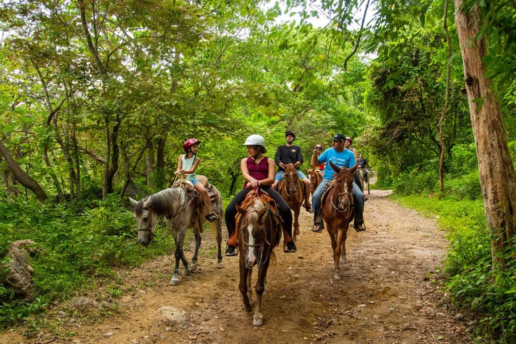 Group horseback riding along forest trail through tropical greenery
