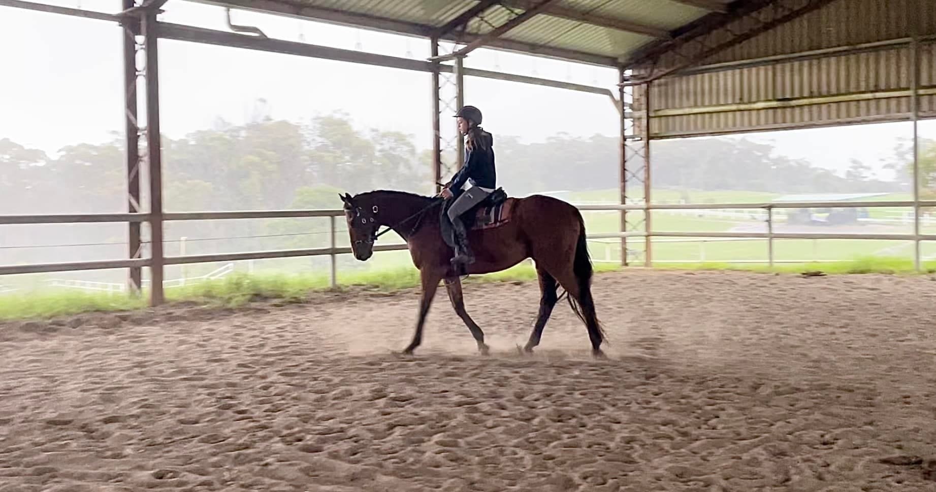 Horseback Riding at Darkes Forest Riding Ranch