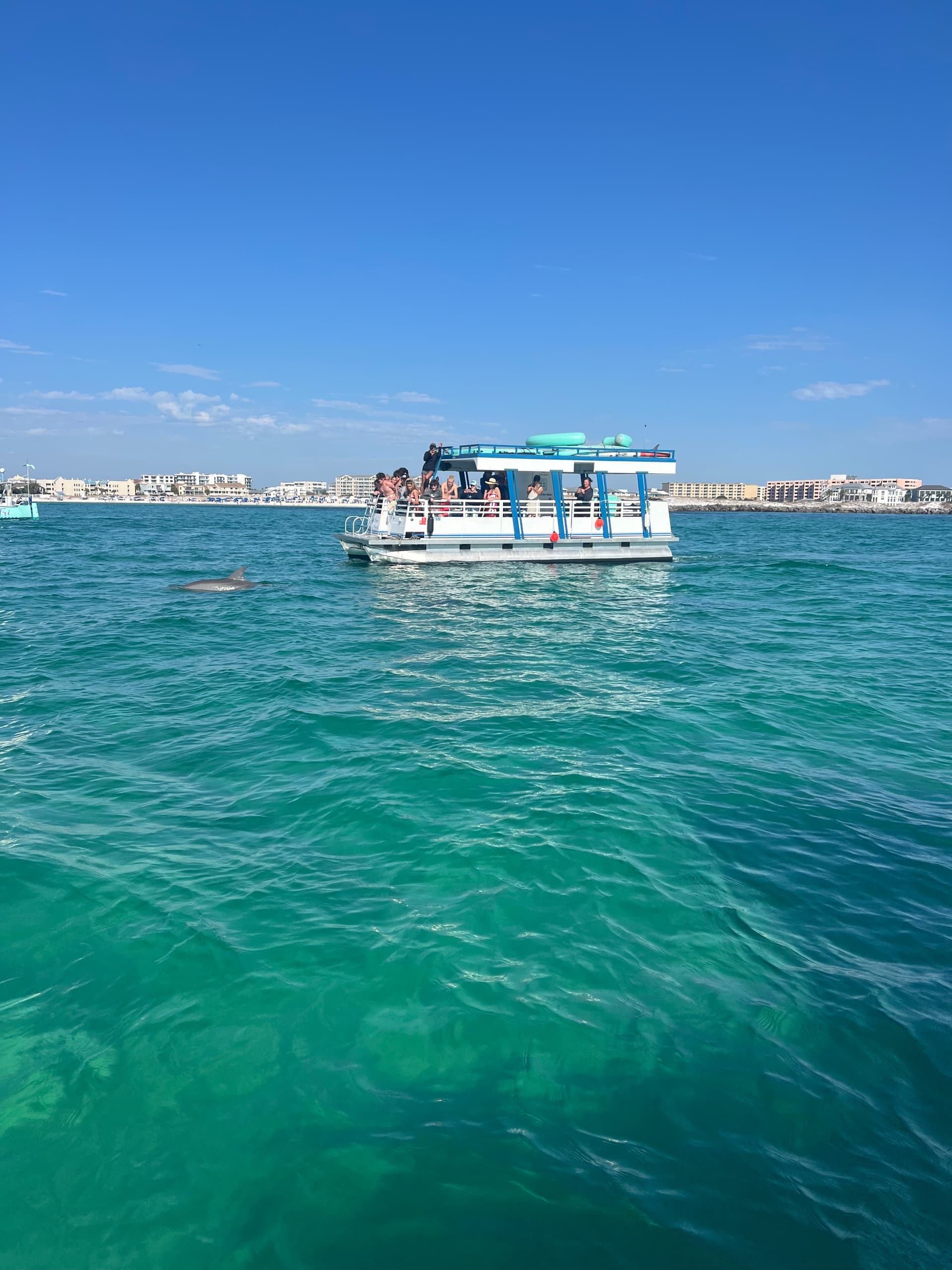 One Hour Dolphin Watch and Harbor Tour in Destin, FL