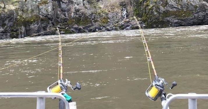 Explore Hells Canyon: Private 6-Hour Jet Boat Adventure from White Bird, Idaho