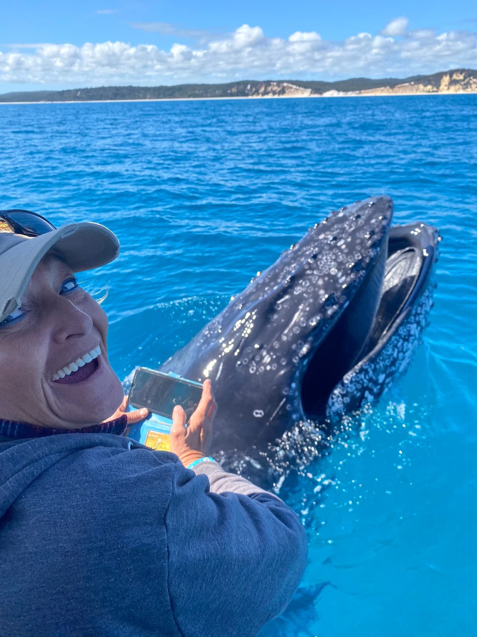 Whale Watching Adventures with Noosa Thriller in Noosaville