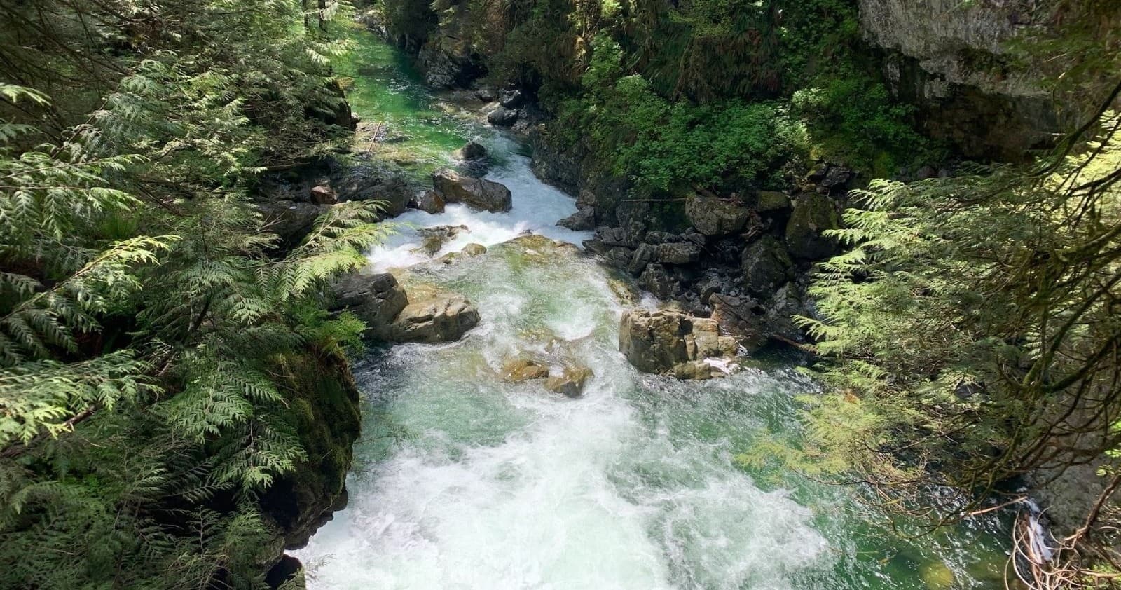 Explore Vancouver’s Old-Growth Rainforest: Waterfalls & Suspension Bridge Adventure
