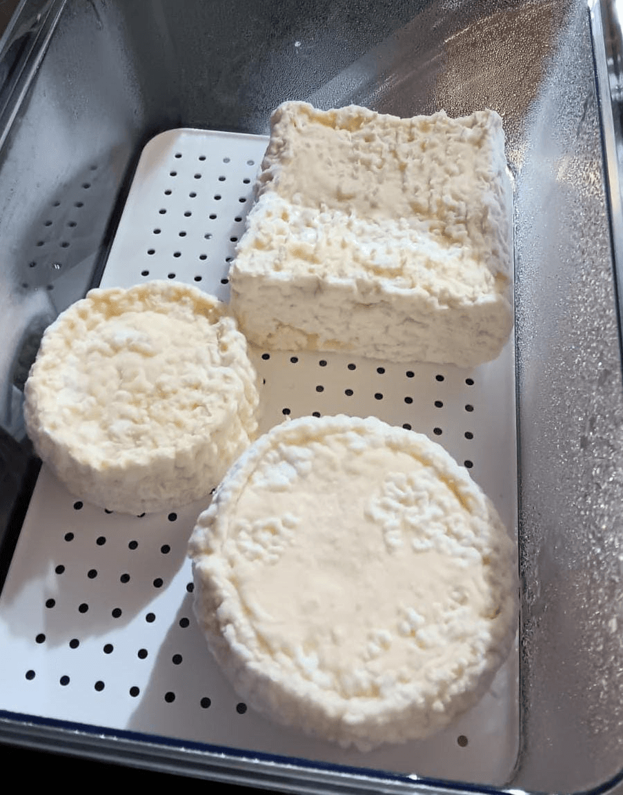 Hands-On Cheese Making Workshop in London: Make Three Cheeses in One Day photo 4