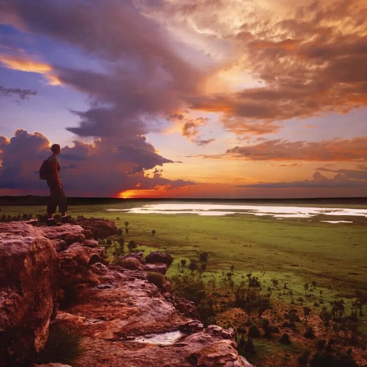 Kakadu National Park 4-Day Adventure: Wildlife, Waterfalls & Katherine Gorge Cruise