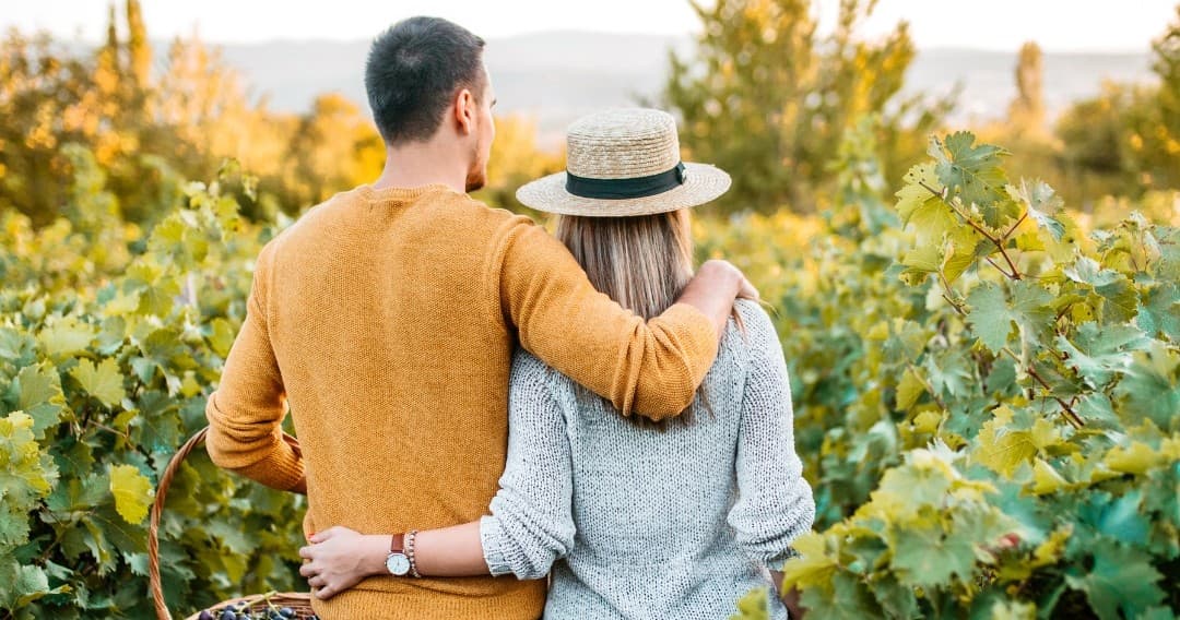 Wine & Vineyard Tours at Walk through the Vineyards in Cartaxo