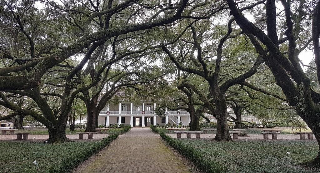 Exploring Whitney Plantation and Louisiana Swamps: A Unique Historical and Natural Adventure