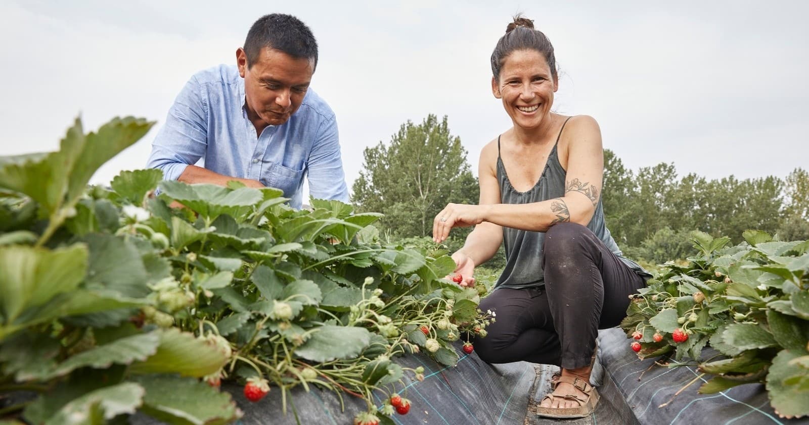 Organic Farm Experience at Farm Experiences & Tours, Portugal