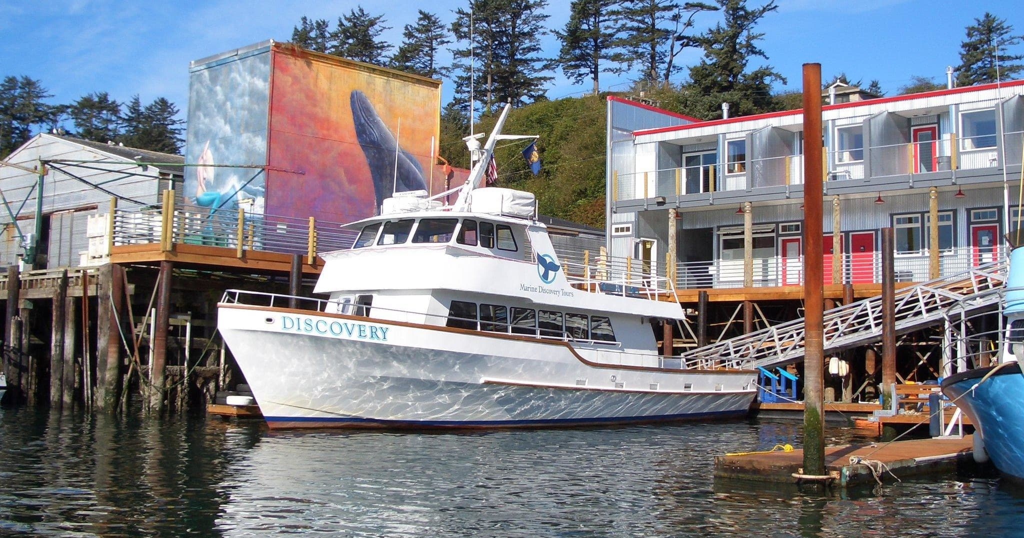 Marine Discovery Tours team
