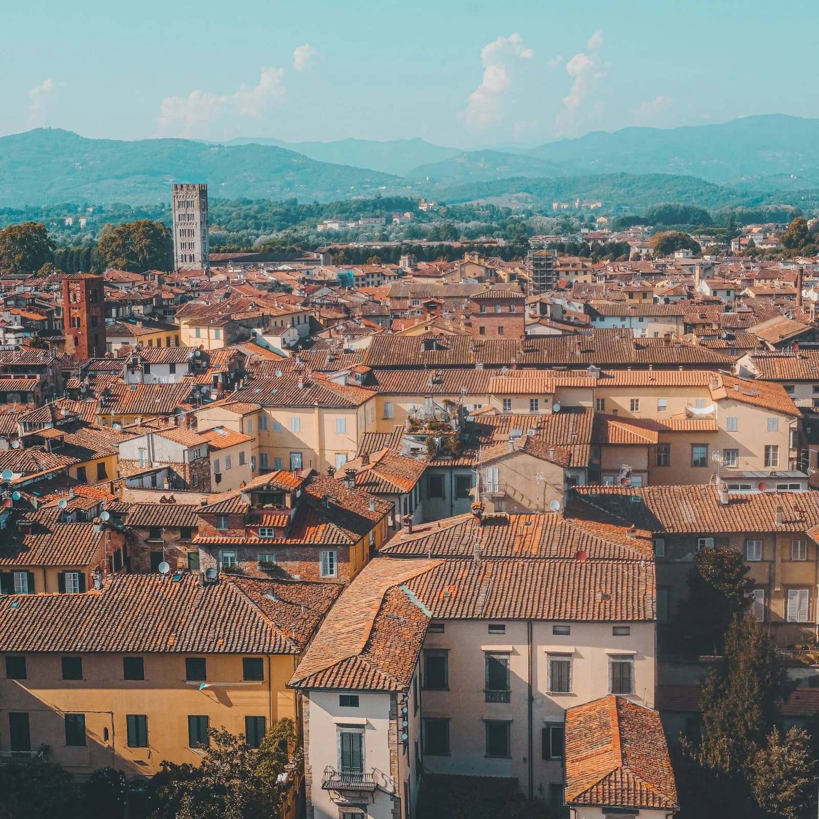 Pisa and Lucca Day Tour From Florence: Leaning Tower, Walled City & Tuscan Lunch