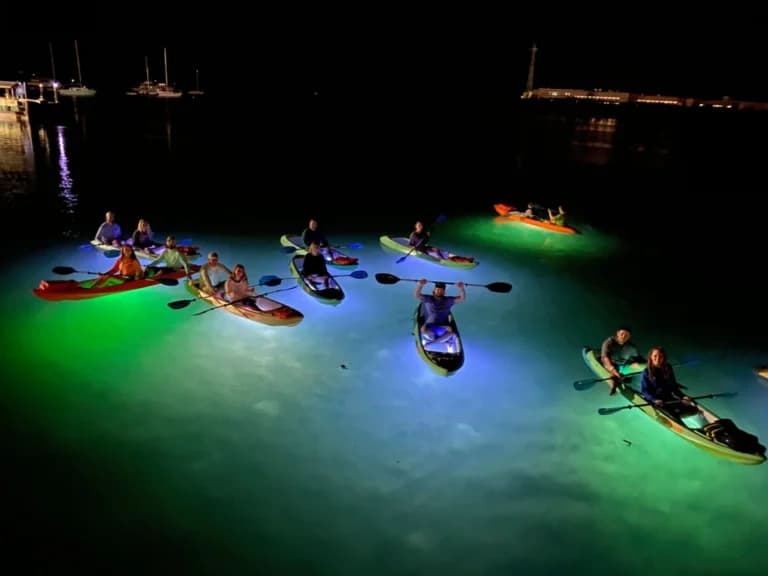 Night kayak tour with illuminated kayaks in harbor waters
