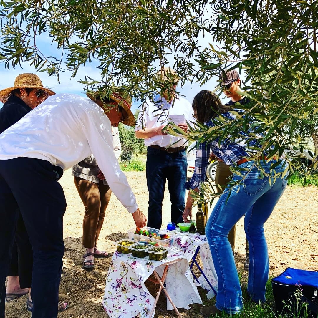 Culinary Spain Tours fleet