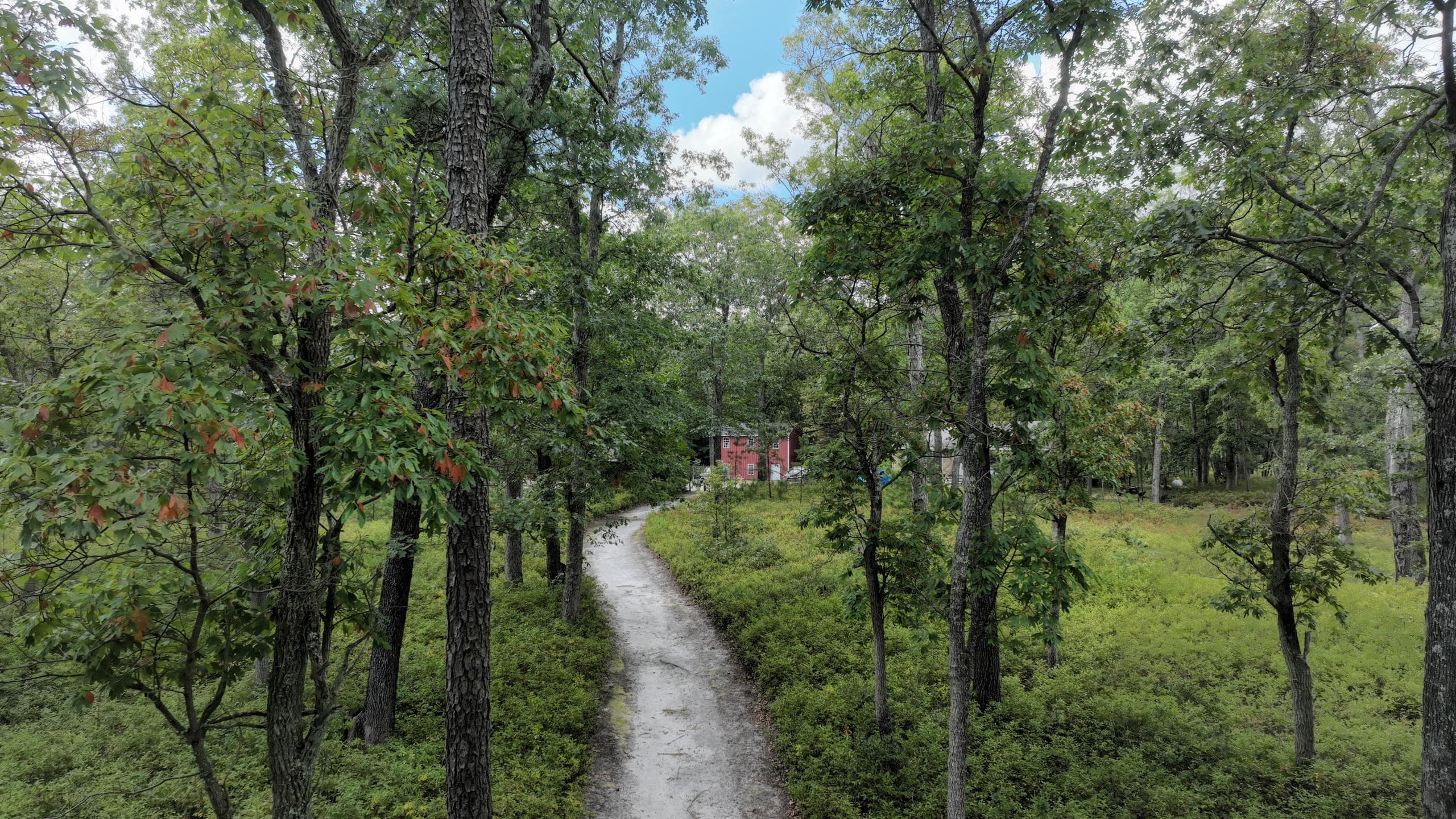 Adult Adventure Camp on the Batsto River: Pinelands Weekend Retreat photo 3