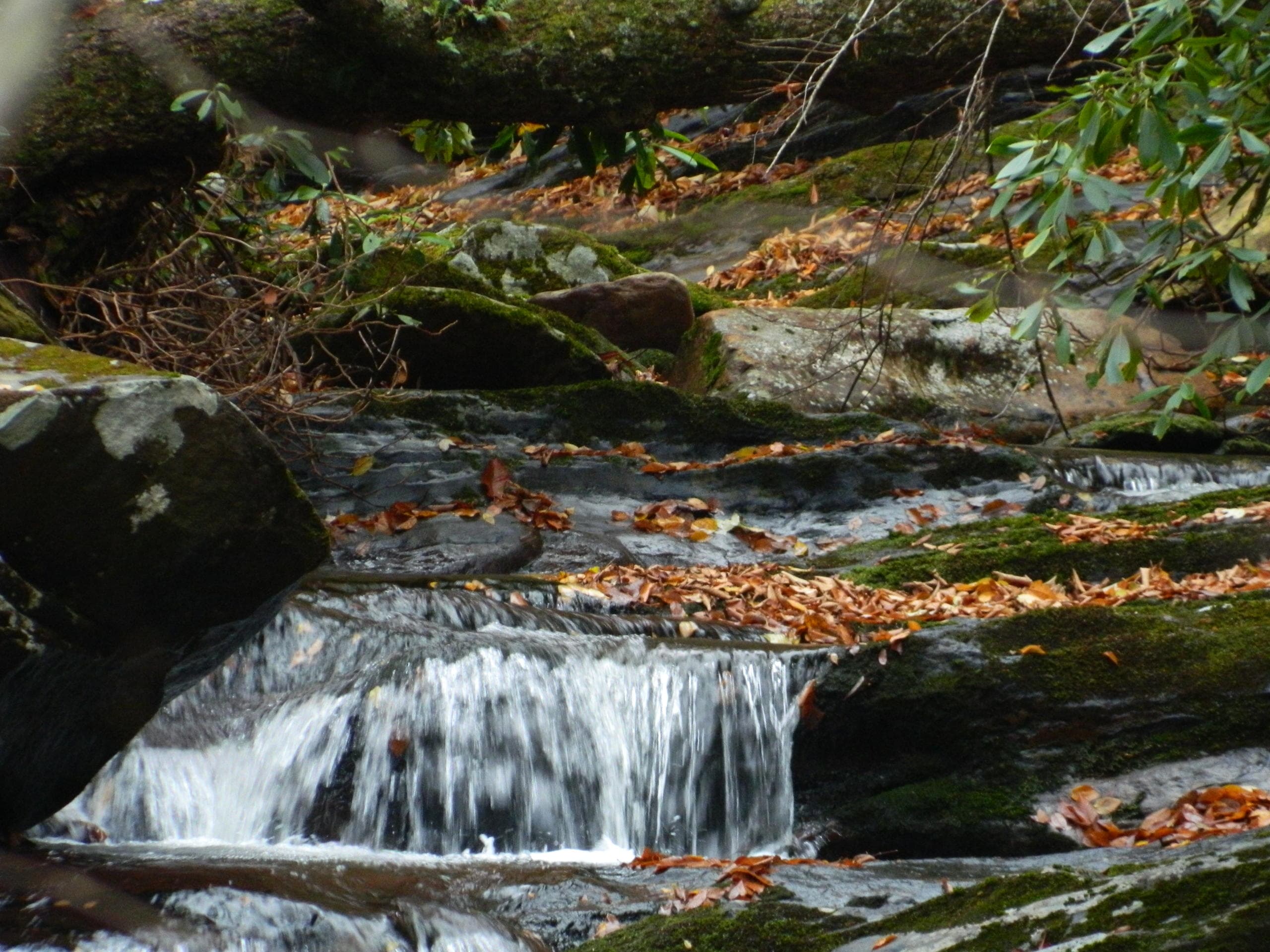 Smoky Mountain Guides team