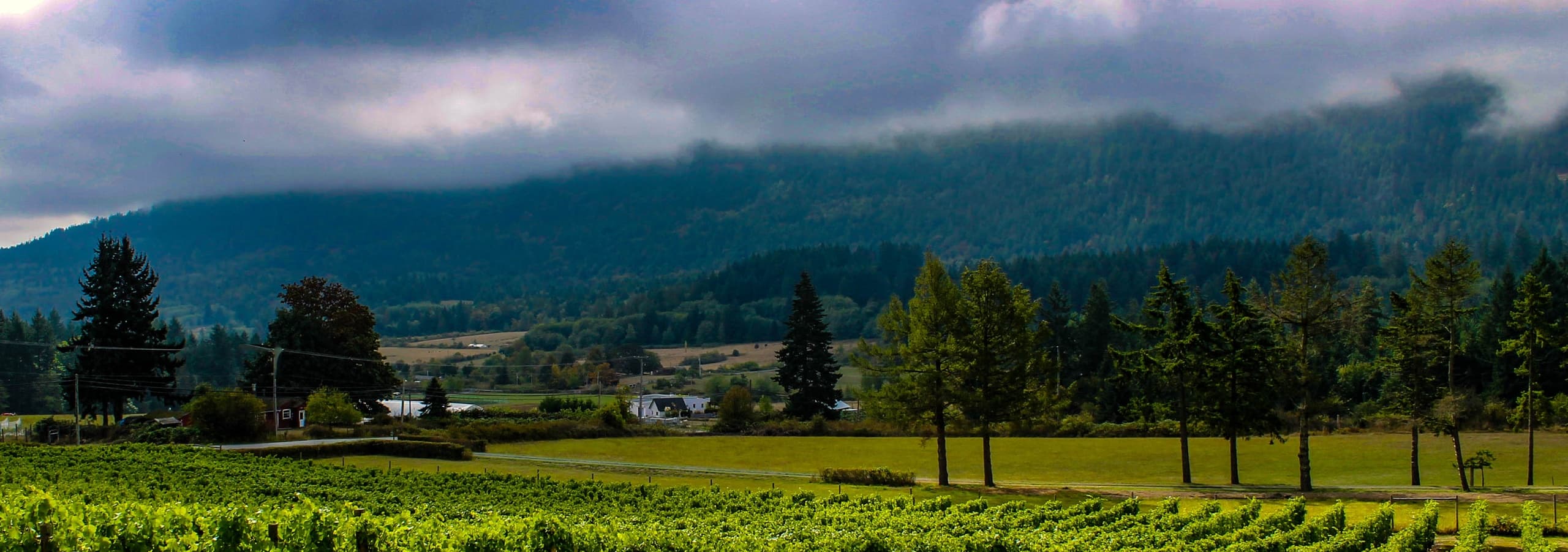 Vineyard valley and rolling hills for scenic countryside hiking tours