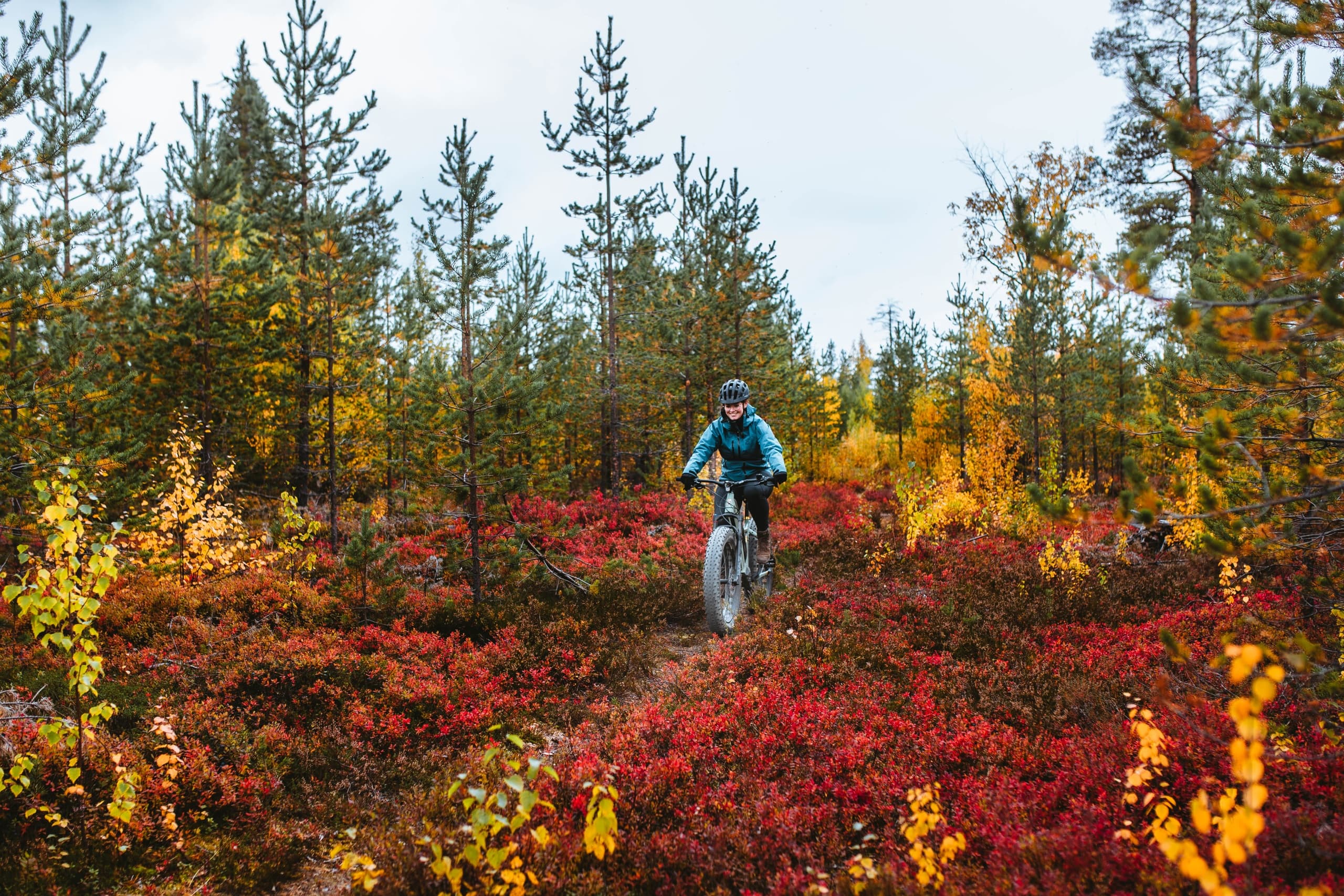 eFatbike Adventure in Rovaniemi with Apukka Resort