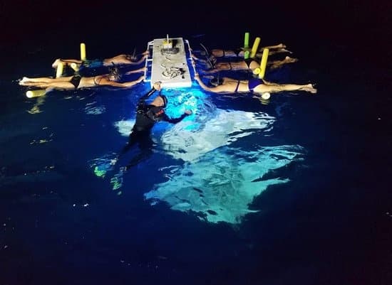 Manta Ray Night Snorkel in Kailua-Kona, Hawaii