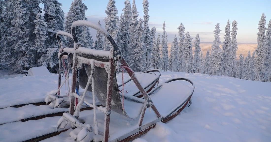 Snow covered dog sled parked on tundra with pine backdrop