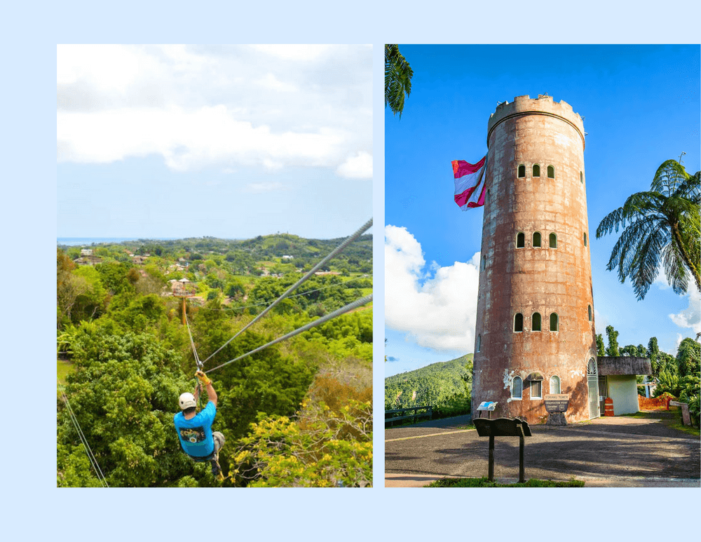 El Yunque Half-Day Rainforest Trek and Zipline in Luquillo